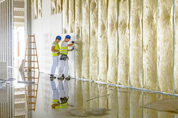 Best Insulation Installation Services in Rockmart, GA